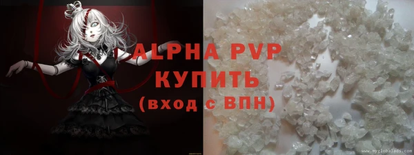 дживик Новозыбков