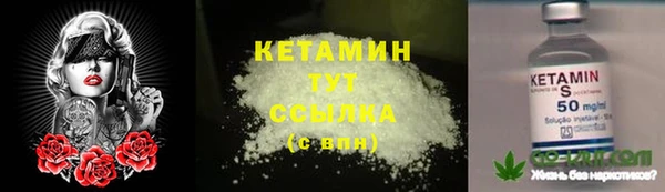СК Абинск