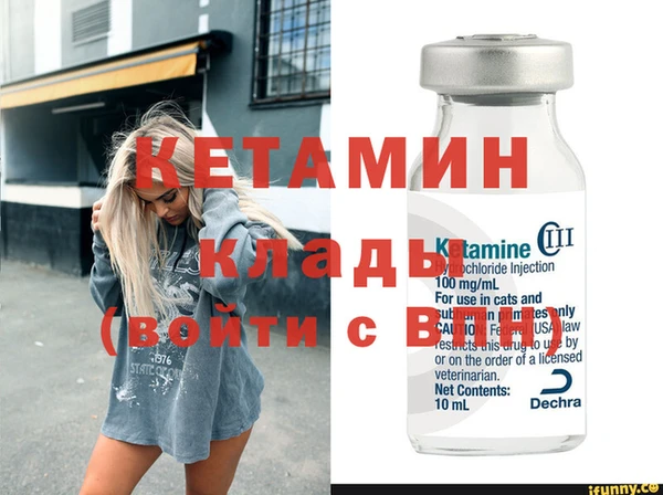 дживик Новозыбков