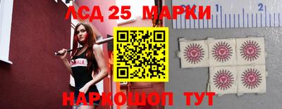 спиды Кандалакша