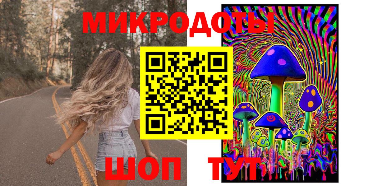 Саратов  Псилоцибиновые грибы Cubensis  Вход с VPN 