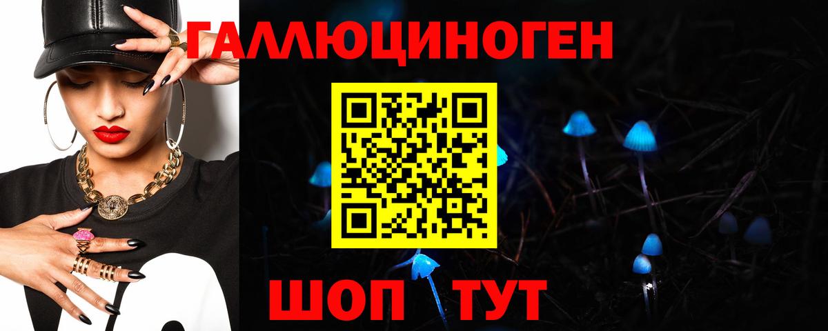Псилоцибиновые грибы Psilocybine cubensis Саратов